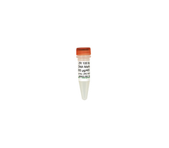ZR 100 bp DNA Marker