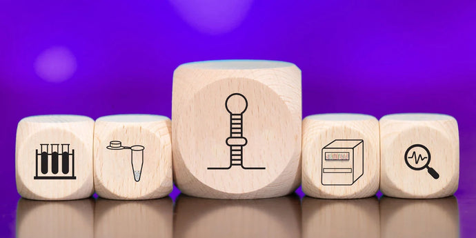 A Quick Guide to NGS-Based miRNA Profiling