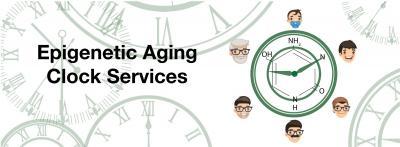 Zymo Launches Service Based on Epigenetic Aging Clock Technology