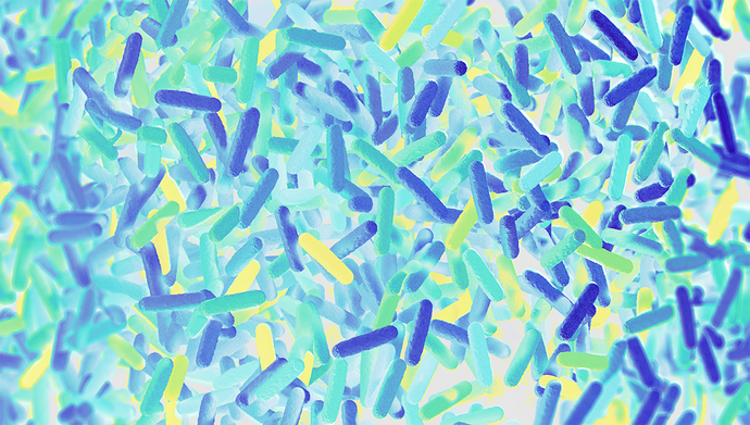 How to Discover Biases in Metagenomic Studies