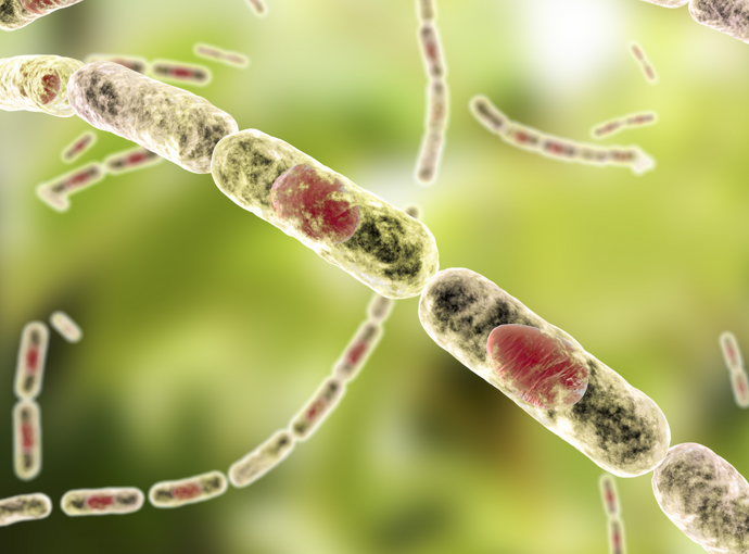 Score More Spore DNA