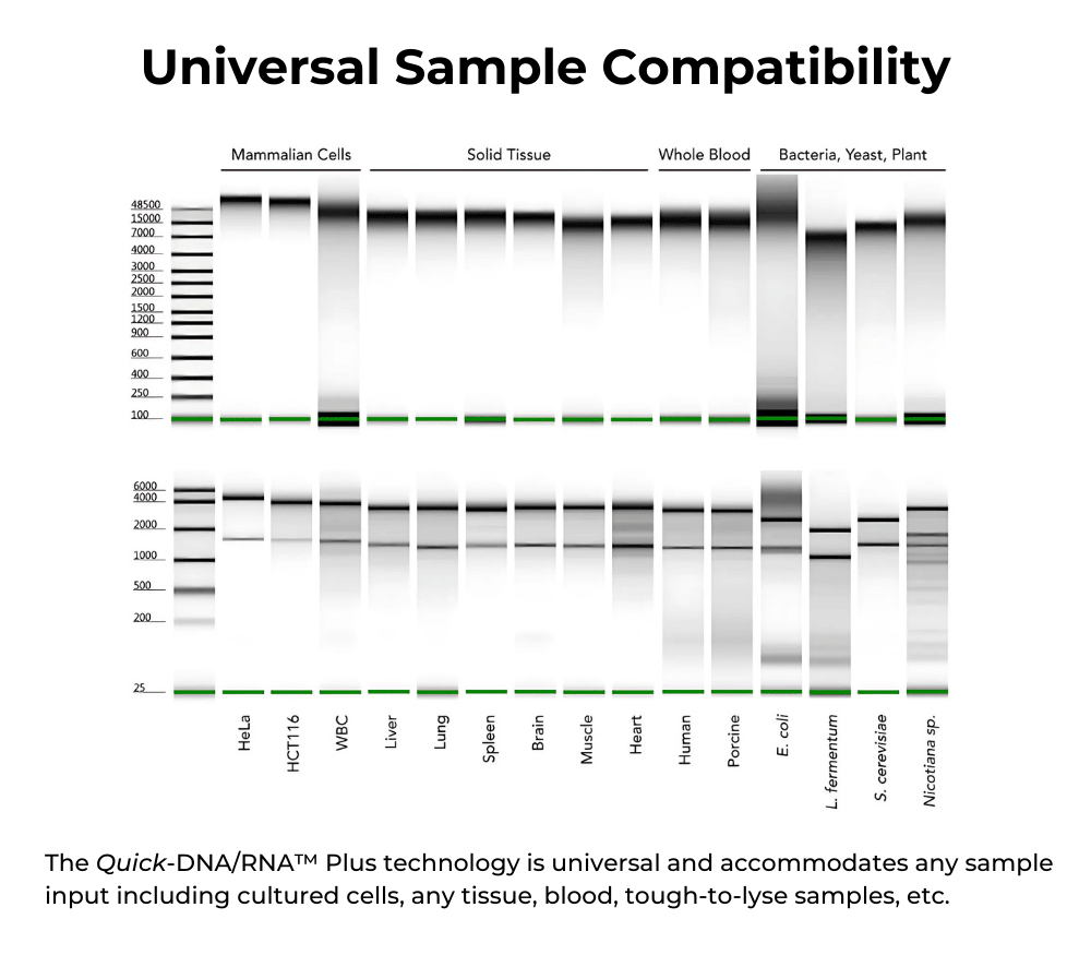 Quick-DNA/RNA Microprep Plus Kit | ZYMO RESEARCH