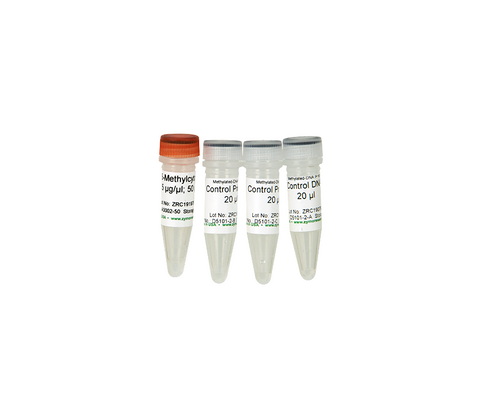 Methylated/Non-methylated Control DNA & Primer Set