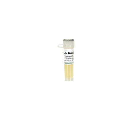 XJb (DE3) Autolysis Glycerol Stock available with DE3 lysogen encoding T7 RNA Polymerase gene.